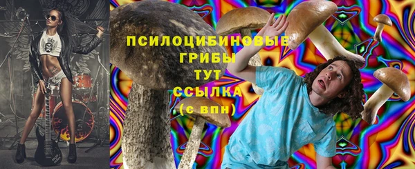 дживик Алексеевка